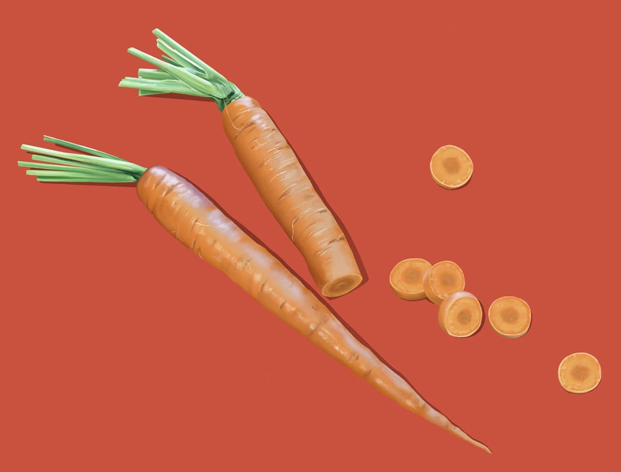 Now you're an expert on how to make the best realistic carrot drawing!