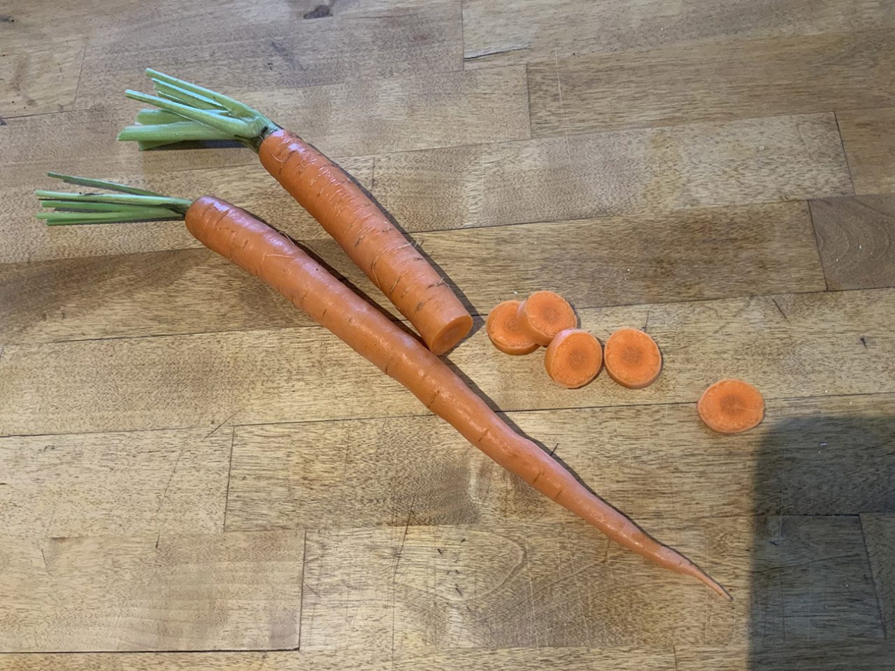 Procreate tutorial: take your own reference photo using the camera on iPad Pro.