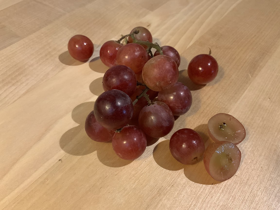 Procreate tutorial: take your own reference photo using the camera on iPad Pro.