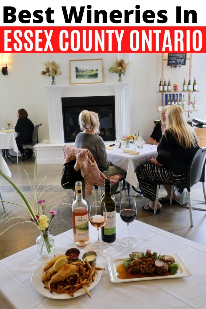 Sip your way through the best Essex County Wineries & Vineyards Near Windsor Ontario.