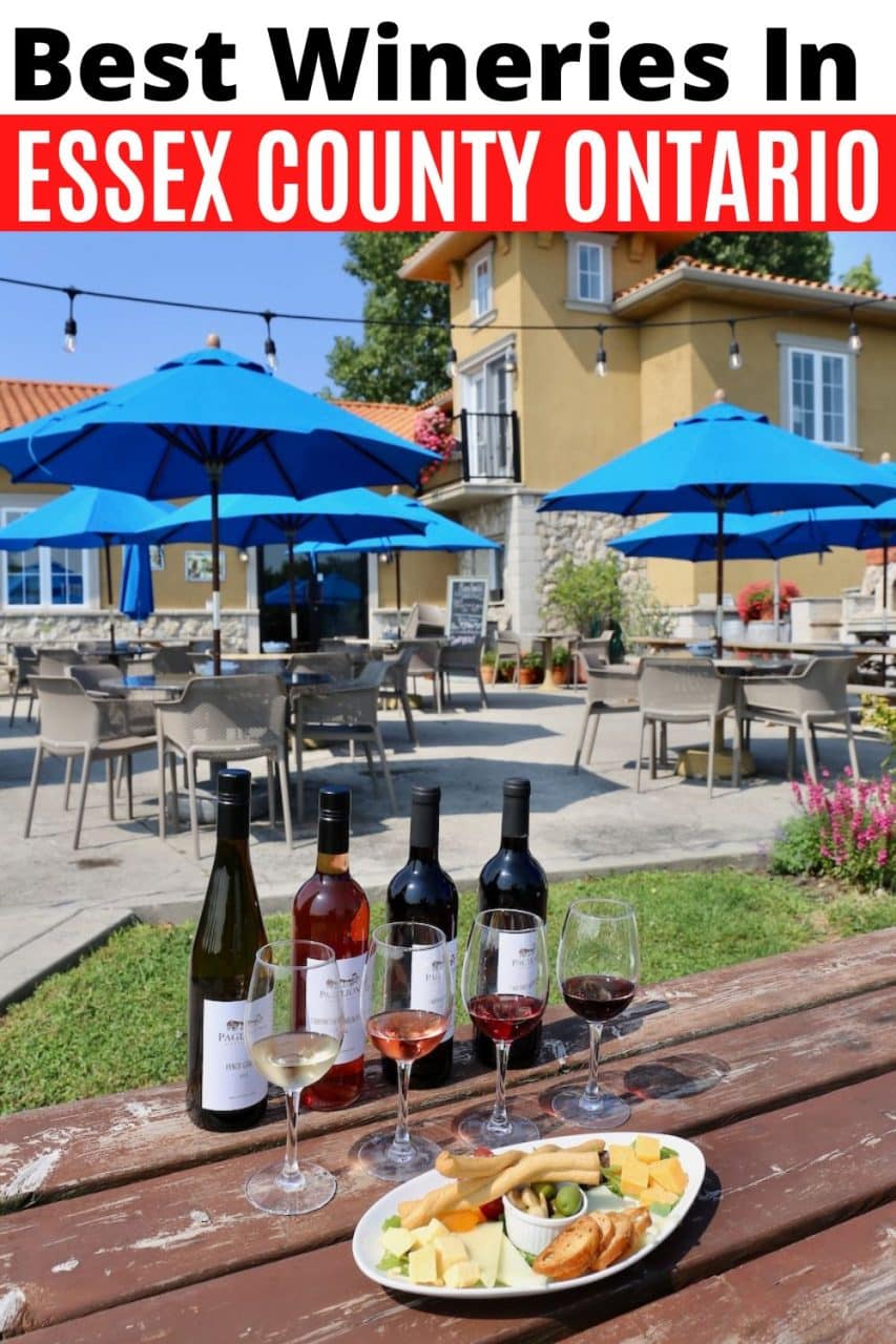 Sip your way through the best Essex County Wineries & Vineyards Near Windsor Ontario.