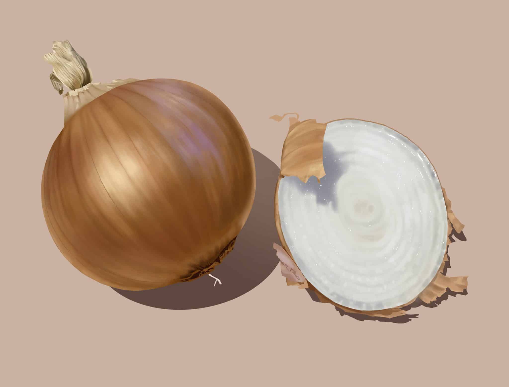 How to draw onion / Onion drawing - YouTube