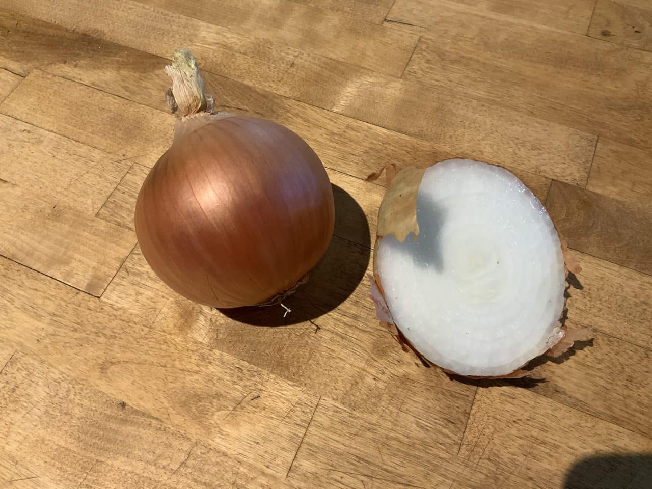 Procreate tutorial: take your own reference photo using the camera on iPad Pro.