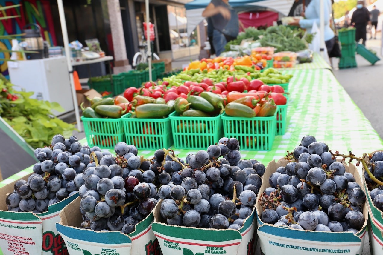 Windsor Farmers' Market offers fresh produce and pop up restaurants by local cooks.
