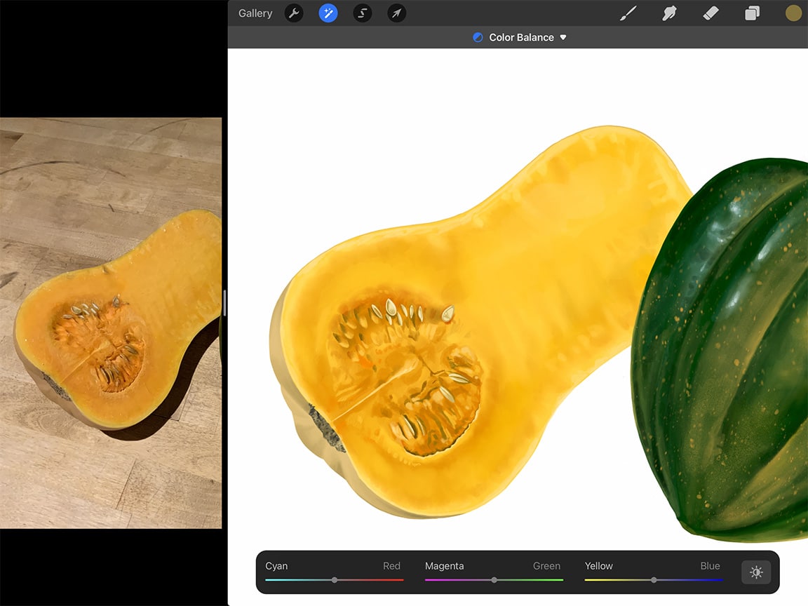 How to Draw Squash: Procreate has a lot of tools that make digital drawing advantageous.