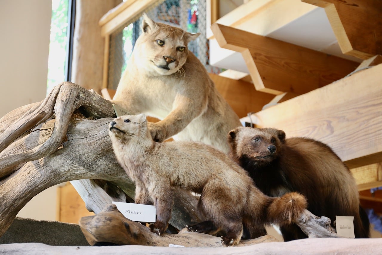 Visit Thunder Bay's best tourist attractions on a Northern Ontario Road Trip itinerary. 