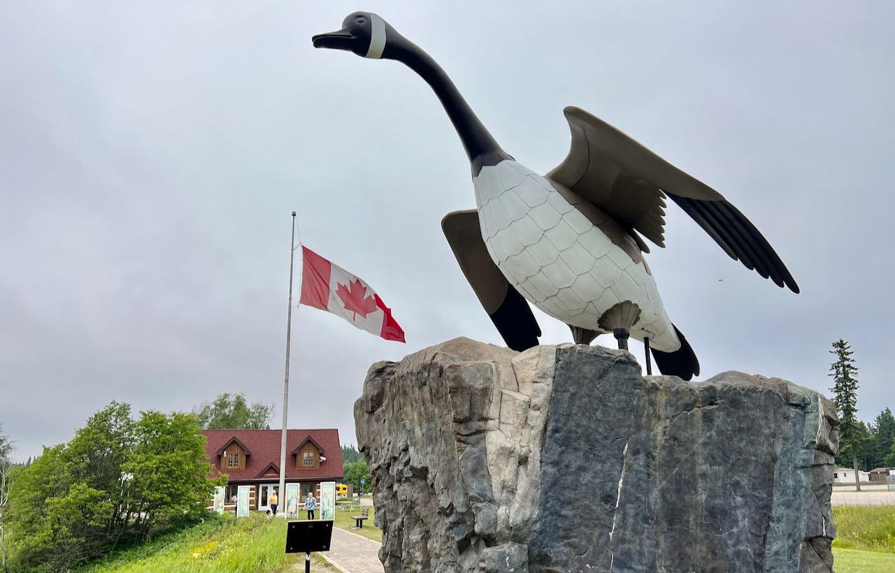 On the drive from Thunder Bay to Sault Ste Marie take a selfie with the Wawa Goose!