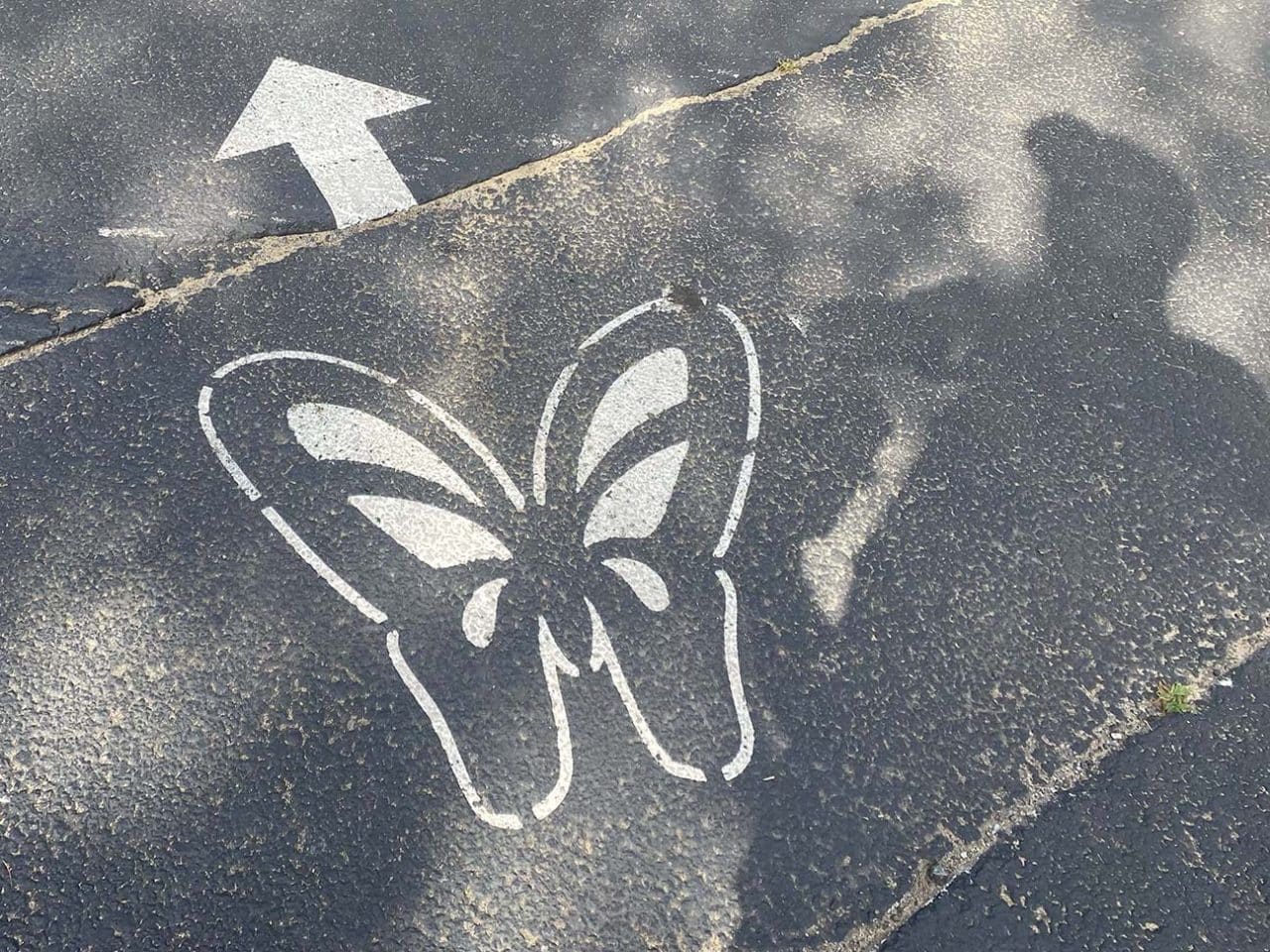 Finally making the journey to Dollywood was everything I hoped it would be and more.