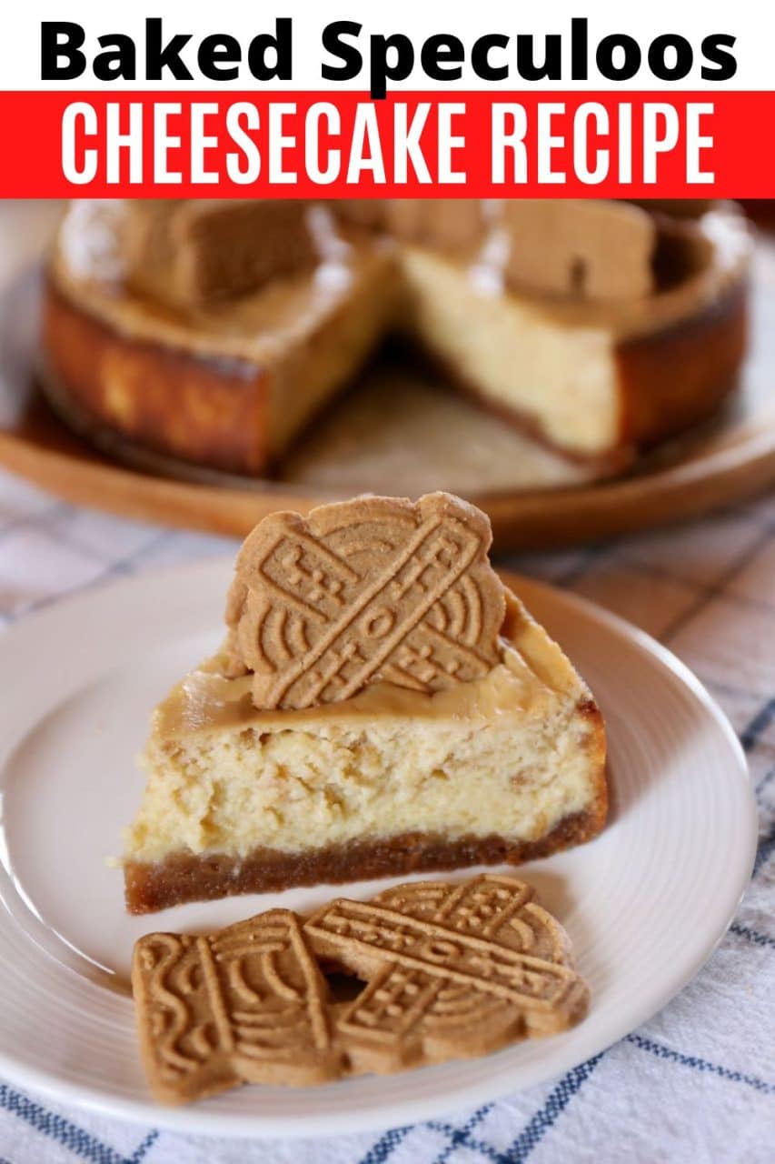 Speculaas Cheesecake is the best dessert to serve at Thanksgiving or Christmas. A rich cream cheese filling pairs with Dutch spiced cookies.  