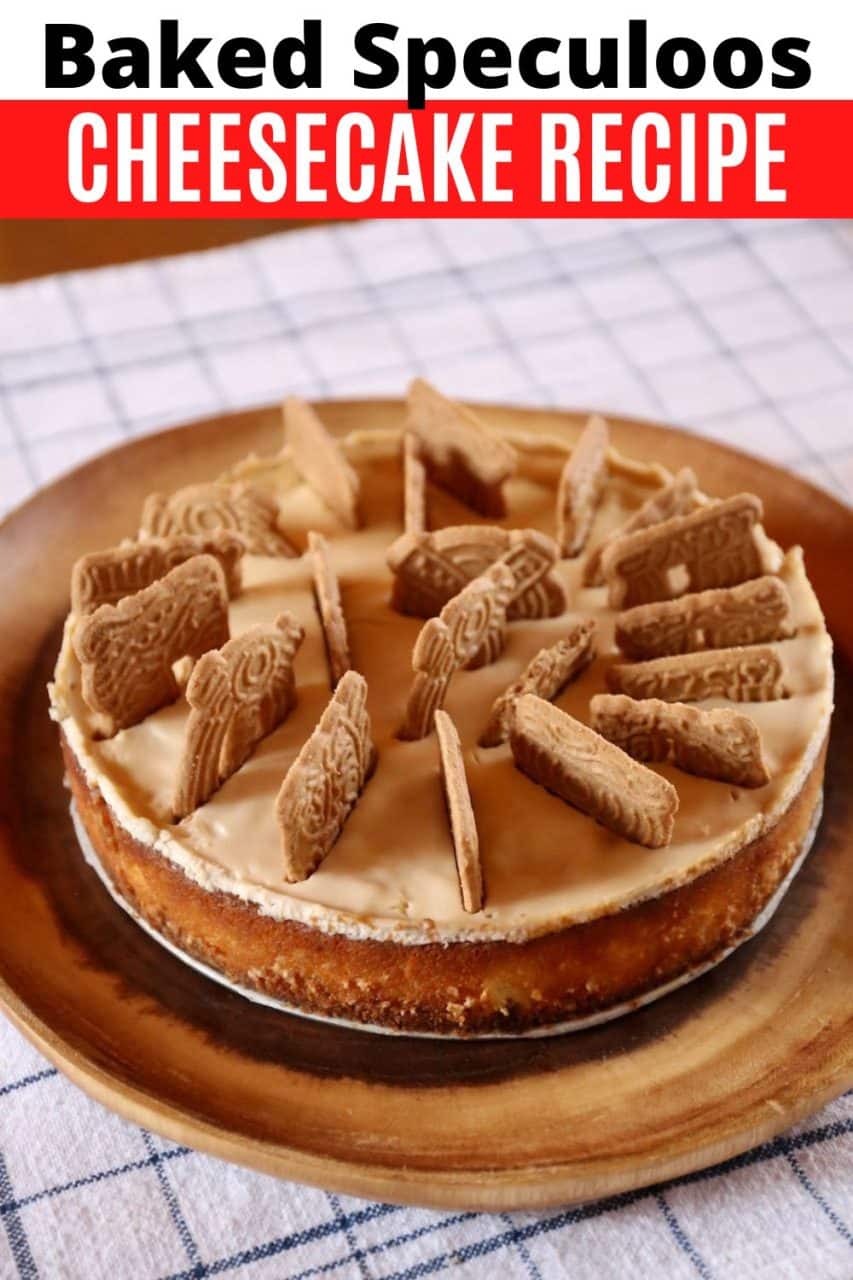 Speculaas Cheesecake is the best dessert to serve at Thanksgiving or Christmas. A rich cream cheese filling pairs with Dutch spiced cookies.  