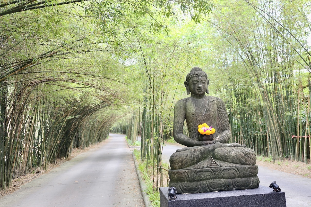 The Pavilions Phuket Resort Review.