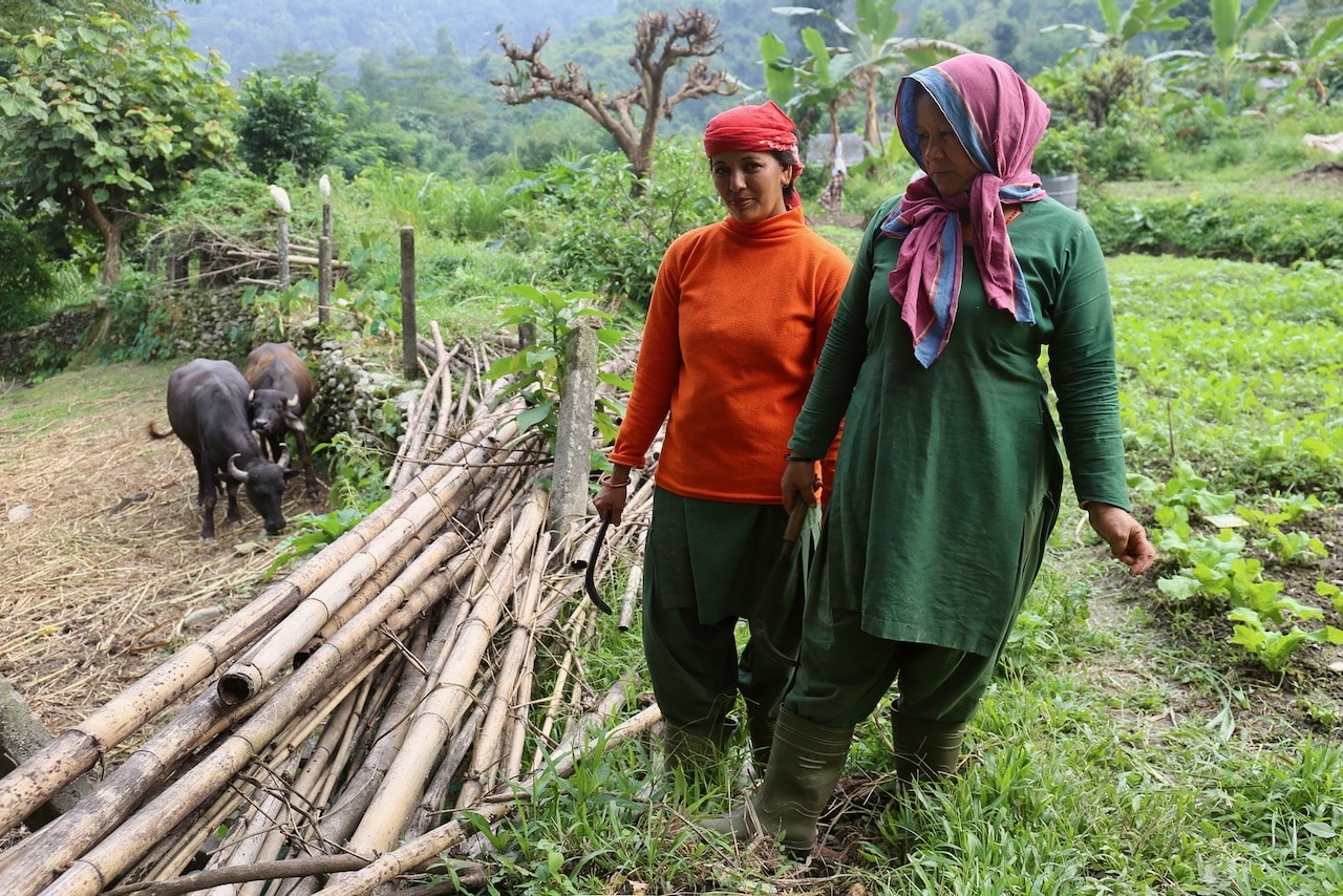 The Pavilions Himalayas The Farm is located on a lush organic farm in Pokhara.